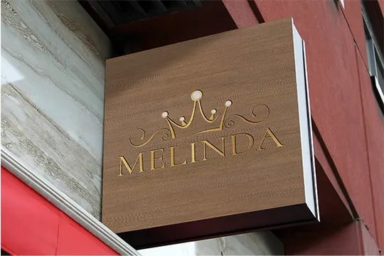 desenvolvimento de logotipo ação web melinda