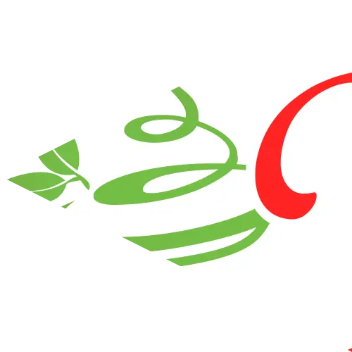 desenvolvimento logotipo detalhe vita